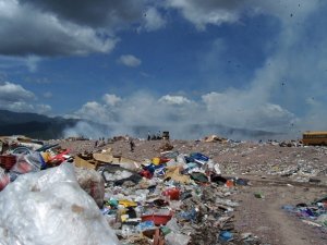 110_504362457598_3509_n